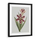 Gems Florales Iii - Vision Studio | Cuadro decorativo de Canvas Lab