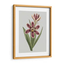 Gems Florales Iii - Vision Studio | Cuadro decorativo de Canvas Lab