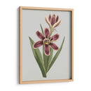 Gems Florales Iii - Vision Studio | Cuadro decorativo de Canvas Lab