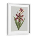 Gems Florales Iii - Vision Studio | Cuadro decorativo de Canvas Lab