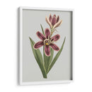 Gems Florales Iii - Vision Studio | Cuadro decorativo de Canvas Lab