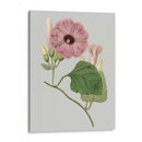 Gems Florales Iv - Vision Studio | Cuadro decorativo de Canvas Lab