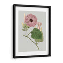 Gems Florales Iv - Vision Studio | Cuadro decorativo de Canvas Lab