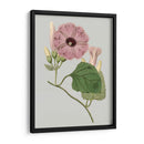 Gems Florales Iv - Vision Studio | Cuadro decorativo de Canvas Lab