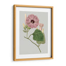 Gems Florales Iv - Vision Studio | Cuadro decorativo de Canvas Lab