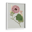 Gems Florales Iv - Vision Studio | Cuadro decorativo de Canvas Lab