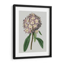 Gemas Florales V - Vision Studio | Cuadro decorativo de Canvas Lab