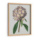 Gemas Florales V - Vision Studio | Cuadro decorativo de Canvas Lab