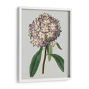 Gemas Florales V - Vision Studio | Cuadro decorativo de Canvas Lab