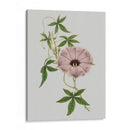 Gemas Florales Vi - Vision Studio | Cuadro decorativo de Canvas Lab