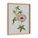 Gemas Florales Vi - Vision Studio | Cuadro decorativo de Canvas Lab