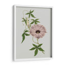 Gemas Florales Vi - Vision Studio | Cuadro decorativo de Canvas Lab