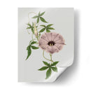 Gemas Florales Vi - Vision Studio | Cuadro decorativo de Canvas Lab