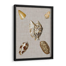 Conchas En Lino I - Vision Studio | Cuadro decorativo de Canvas Lab