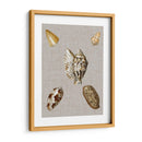 Conchas En Lino I - Vision Studio | Cuadro decorativo de Canvas Lab