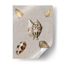 Conchas En Lino I - Vision Studio | Cuadro decorativo de Canvas Lab