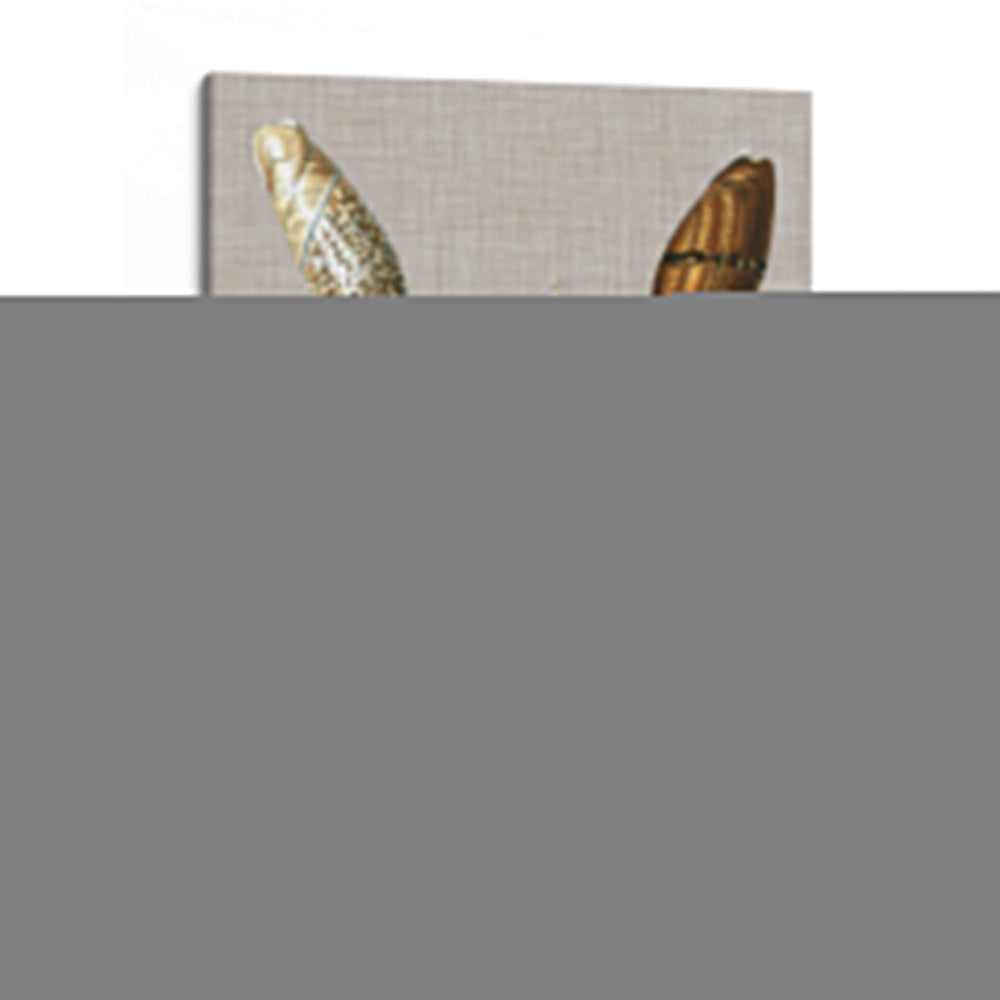 Conchas En Lino Ii - Vision Studio | Cuadro decorativo de Canvas Lab