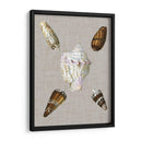 Conchas En Lino Ii - Vision Studio | Cuadro decorativo de Canvas Lab