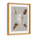 Conchas En Lino Ii - Vision Studio | Cuadro decorativo de Canvas Lab
