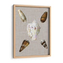Conchas En Lino Ii - Vision Studio | Cuadro decorativo de Canvas Lab
