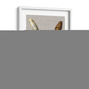 Conchas En Lino Ii - Vision Studio | Cuadro decorativo de Canvas Lab