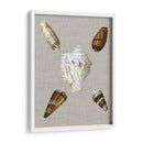 Conchas En Lino Ii - Vision Studio | Cuadro decorativo de Canvas Lab