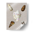 Conchas En Lino Ii - Vision Studio | Cuadro decorativo de Canvas Lab