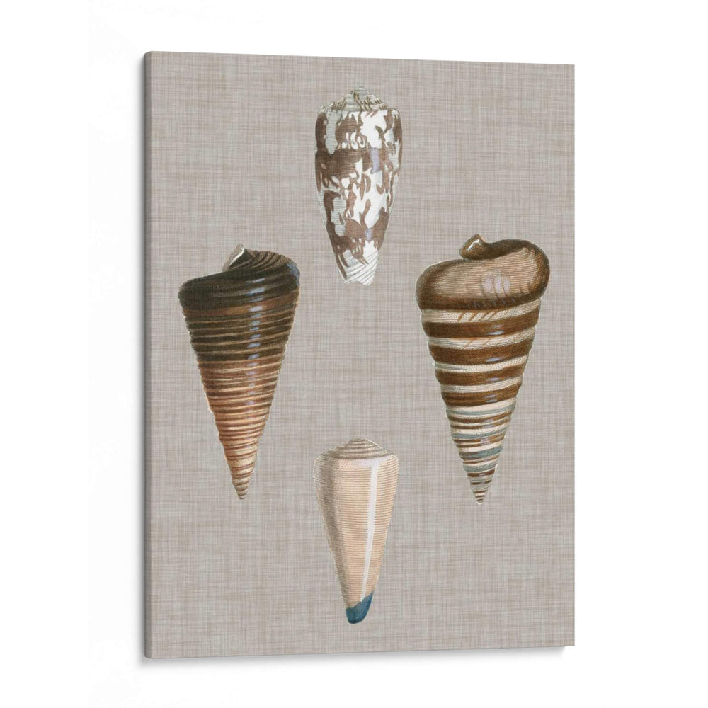Shells On Linen Iii - Vision Studio | Cuadro decorativo de Canvas Lab