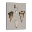 Shells On Linen Iii - Vision Studio | Cuadro decorativo de Canvas Lab