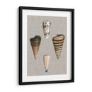 Shells On Linen Iii - Vision Studio | Cuadro decorativo de Canvas Lab