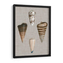 Shells On Linen Iii - Vision Studio | Cuadro decorativo de Canvas Lab