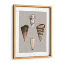 Shells On Linen Iii - Vision Studio | Cuadro decorativo de Canvas Lab