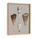 Shells On Linen Iii - Vision Studio | Cuadro decorativo de Canvas Lab
