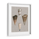 Shells On Linen Iii - Vision Studio | Cuadro decorativo de Canvas Lab