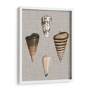 Shells On Linen Iii - Vision Studio | Cuadro decorativo de Canvas Lab