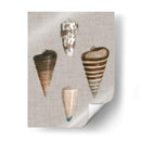 Shells On Linen Iii - Vision Studio | Cuadro decorativo de Canvas Lab