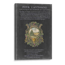 Bookplate Vintage Ii - Vision Studio | Cuadro decorativo de Canvas Lab