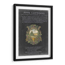 Bookplate Vintage Ii - Vision Studio | Cuadro decorativo de Canvas Lab