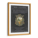 Bookplate Vintage Ii - Vision Studio | Cuadro decorativo de Canvas Lab