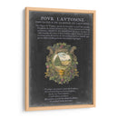 Bookplate Vintage Ii - Vision Studio | Cuadro decorativo de Canvas Lab