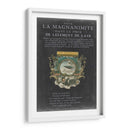 Bookplate Vintage Iii - Vision Studio | Cuadro decorativo de Canvas Lab