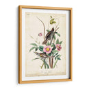 Pinzón De Playa - John James Audubon | Cuadro decorativo de Canvas Lab