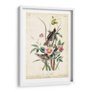 Pinzón De Playa - John James Audubon | Cuadro decorativo de Canvas Lab