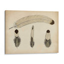 Plumas Vintage V | Cuadro decorativo de Canvas Lab
