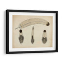 Plumas Vintage V | Cuadro decorativo de Canvas Lab