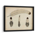 Plumas Vintage V | Cuadro decorativo de Canvas Lab