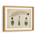 Plumas Vintage V | Cuadro decorativo de Canvas Lab