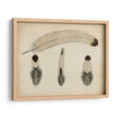 Plumas Vintage V | Cuadro decorativo de Canvas Lab