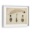 Plumas Vintage V | Cuadro decorativo de Canvas Lab