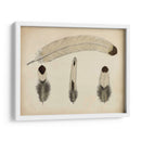 Plumas Vintage V | Cuadro decorativo de Canvas Lab